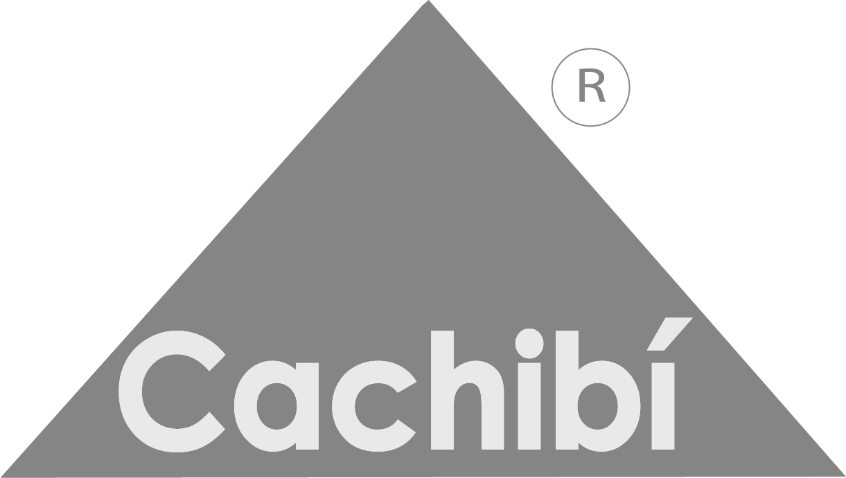 logo cachibÍ
