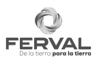 client logo 3 ferval cachibi